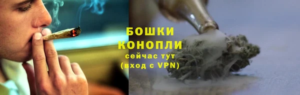 PSILOCYBIN Михайлов