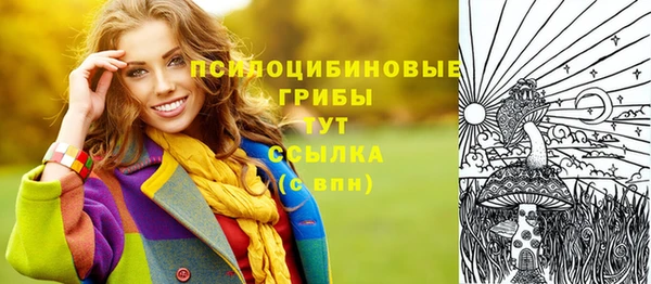 PSILOCYBIN Михайлов