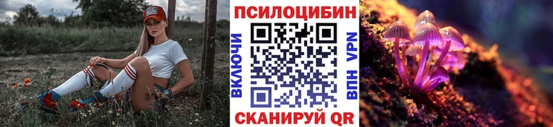 гидра tor цена наркотик Мыски Галлюциногенные грибы мицелий