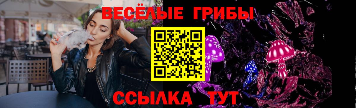 Псилоцибиновые грибы Psilocybine cubensis  Мыски 